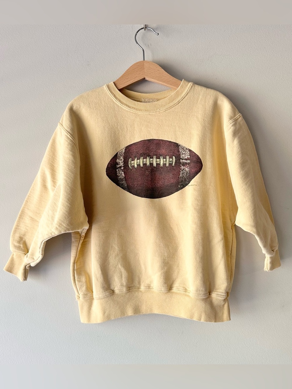Wes & Willy Football Pullover